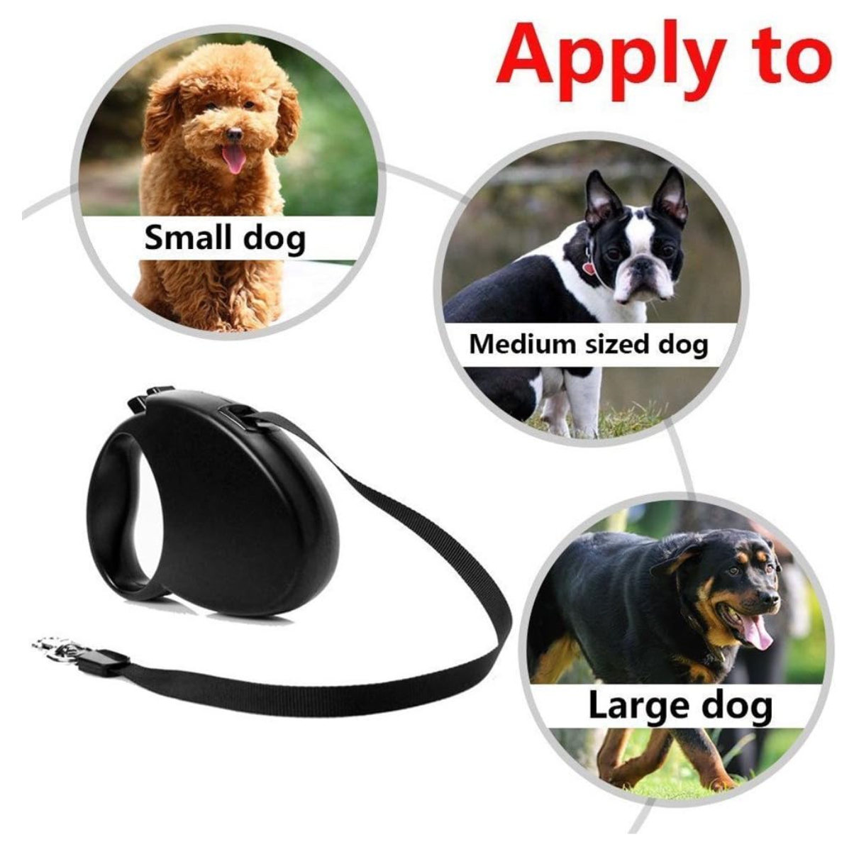 Correa retráctil de 5 m para perros y gatos - Image 2